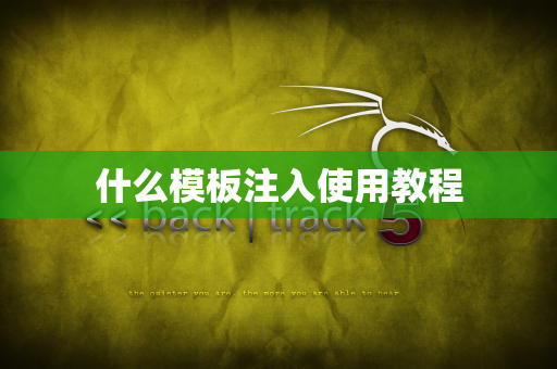 什么模板注入使用教程