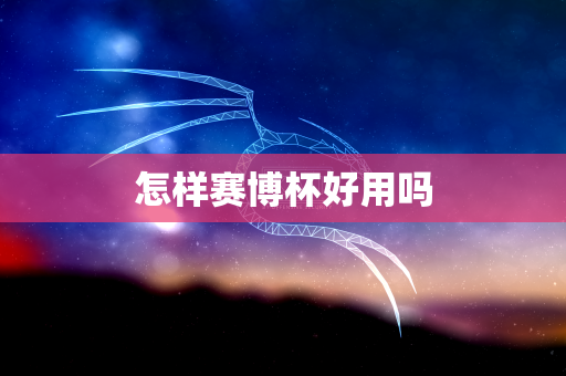 怎样赛博杯好用吗