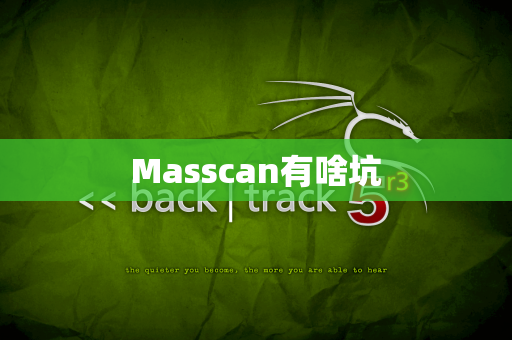 Masscan有啥坑