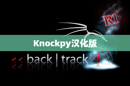Knockpy汉化版