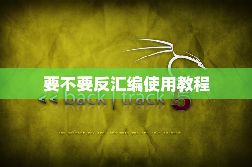 要不要反汇编使用教程