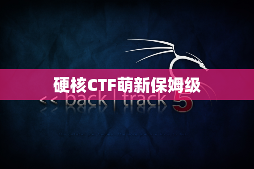 硬核CTF萌新保姆级