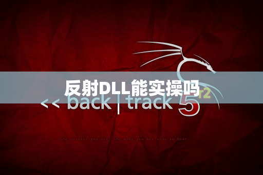 反射DLL能实操吗