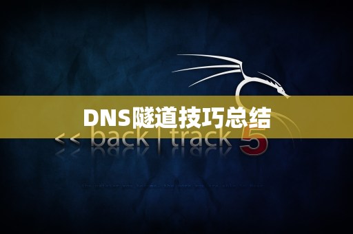 DNS隧道技巧总结