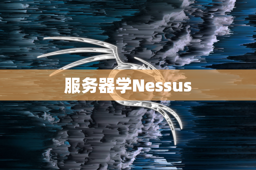 服务器学Nessus
