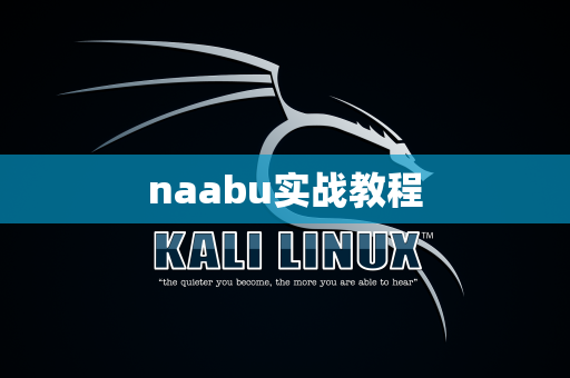 naabu实战教程