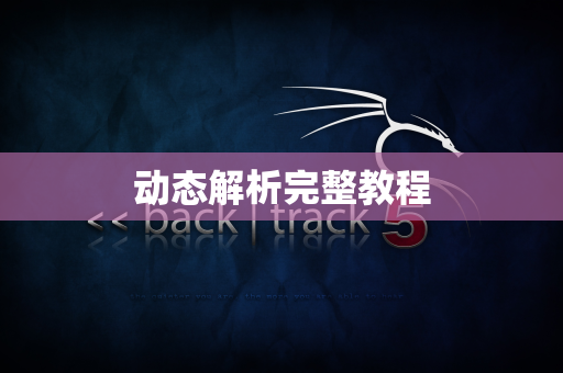动态解析完整教程
