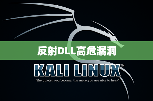 反射DLL高危漏洞