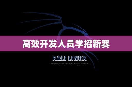 高效开发人员学招新赛