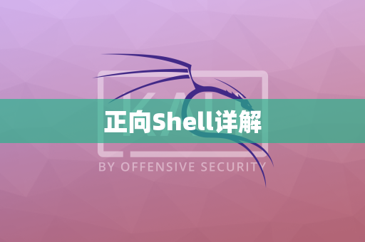 正向Shell详解