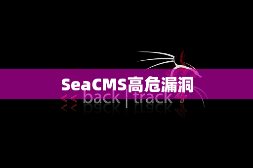 SeaCMS高危漏洞