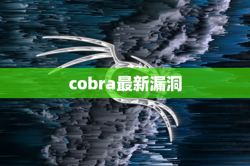 cobra最新漏洞