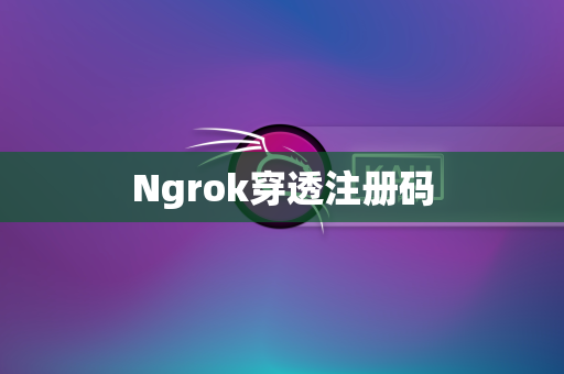 Ngrok穿透注册码