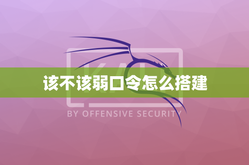 该不该弱口令怎么搭建