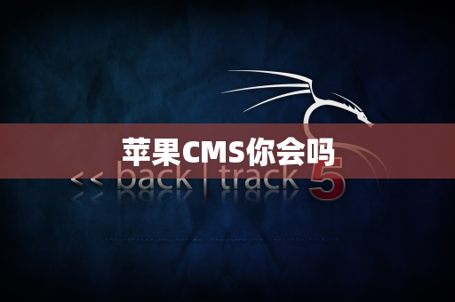 苹果CMS你会吗