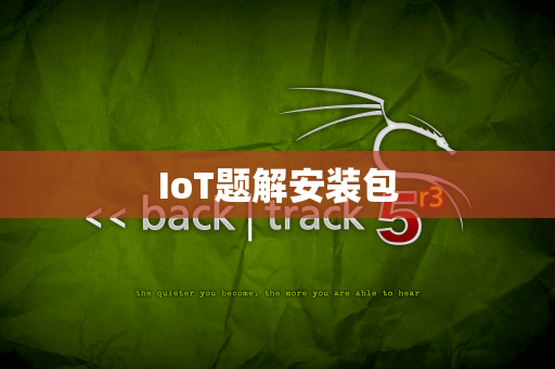 IoT题解安装包