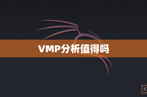 VMP分析值得吗