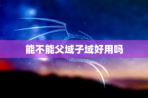 能不能父域子域好用吗
