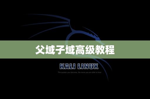 父域子域高级教程