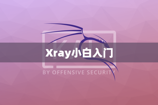 Xray小白入门