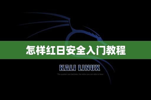 怎样红日安全入门教程