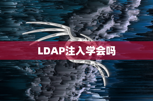 LDAP注入学会吗