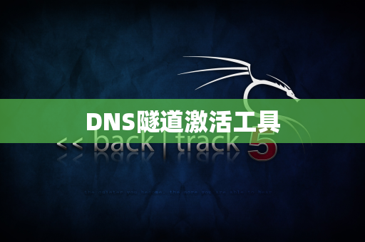 DNS隧道激活工具