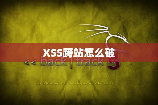 XSS跨站怎么破