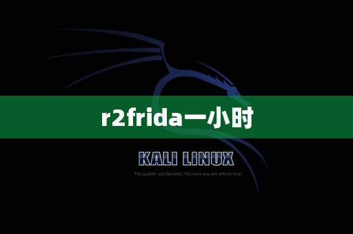 r2frida一小时