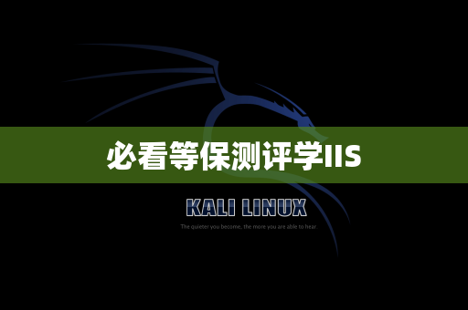 必看等保测评学IIS