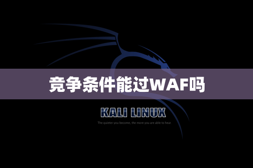 竞争条件能过WAF吗