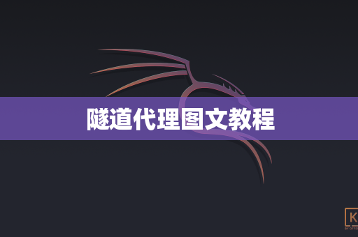 隧道代理图文教程