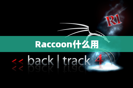 Raccoon什么用