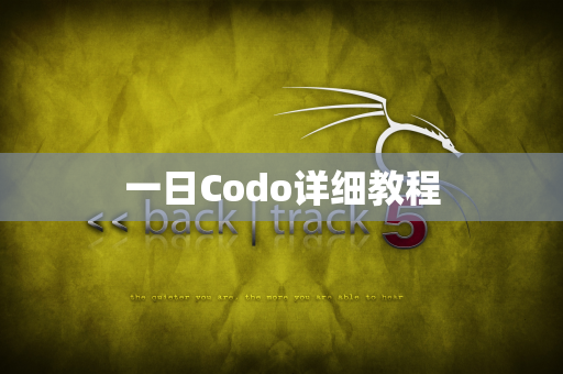 一日Codo详细教程
