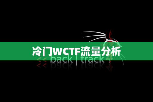 冷门WCTF流量分析