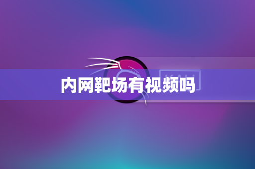 内网靶场有视频吗