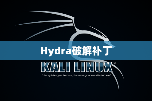 Hydra破解补丁