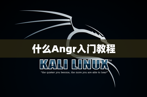 什么Angr入门教程