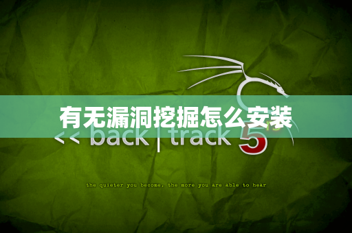 有无漏洞挖掘怎么安装