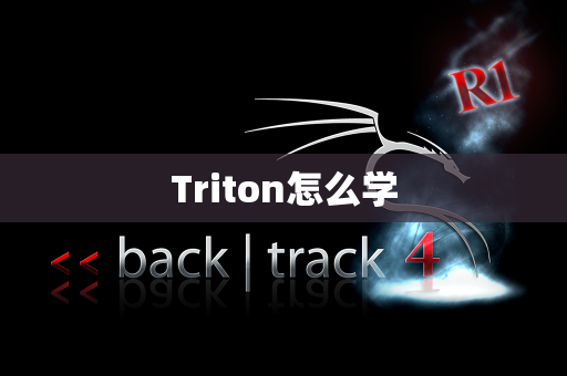 Triton怎么学