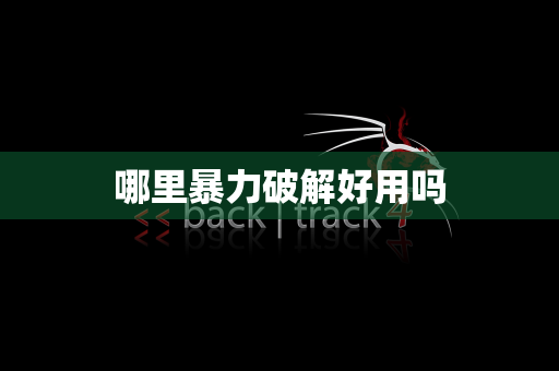 哪里暴力破解好用吗