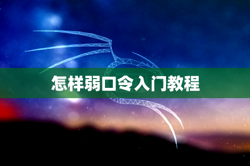 怎样弱口令入门教程