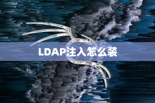 LDAP注入怎么装