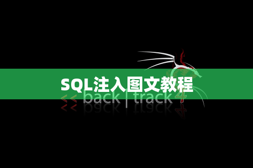 SQL注入图文教程