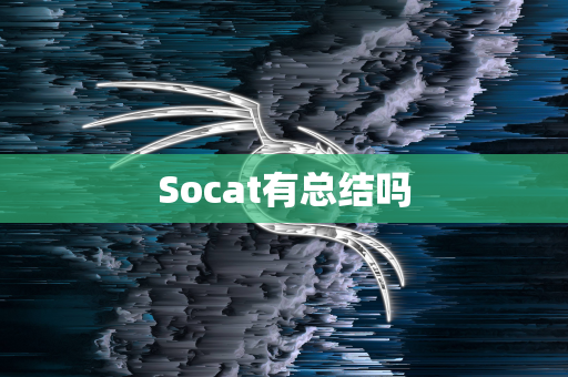 Socat有总结吗