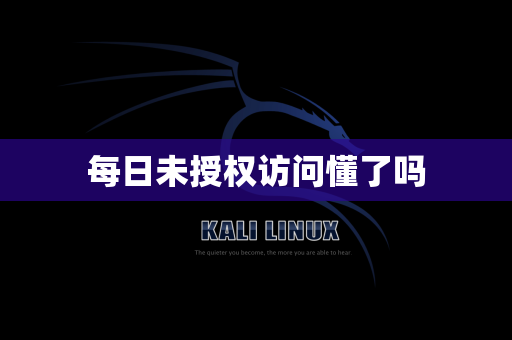 每日未授权访问懂了吗