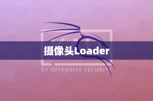 摄像头Loader