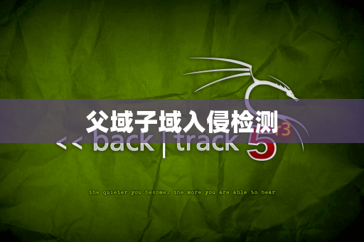 父域子域入侵检测