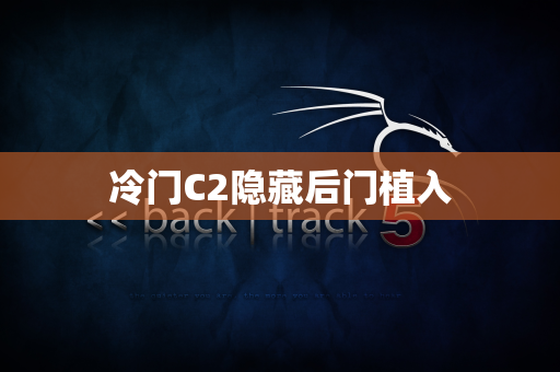 冷门C2隐藏后门植入