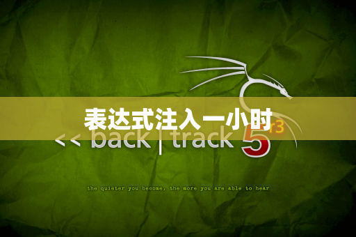 表达式注入一小时